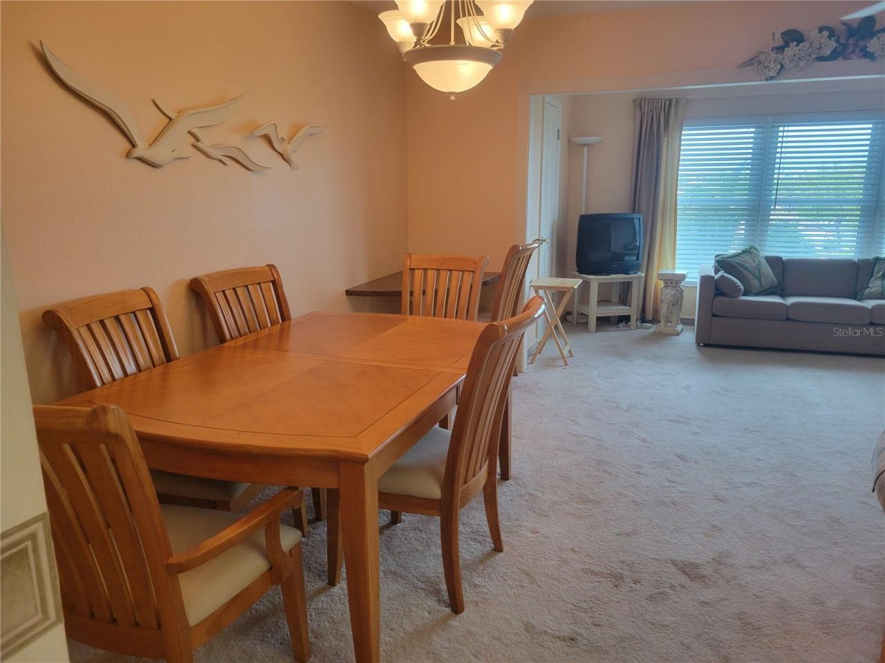 9950 62nd Terrace N, Unit 417, Saint Petersburg, FL 33708 Photo