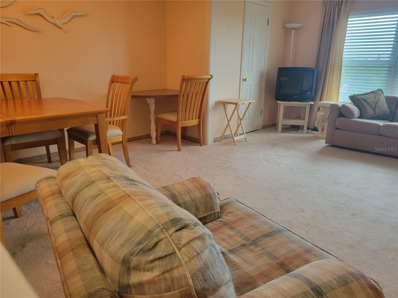 9950 62nd Terrace N, Unit 417, Saint Petersburg, FL 33708 Photo