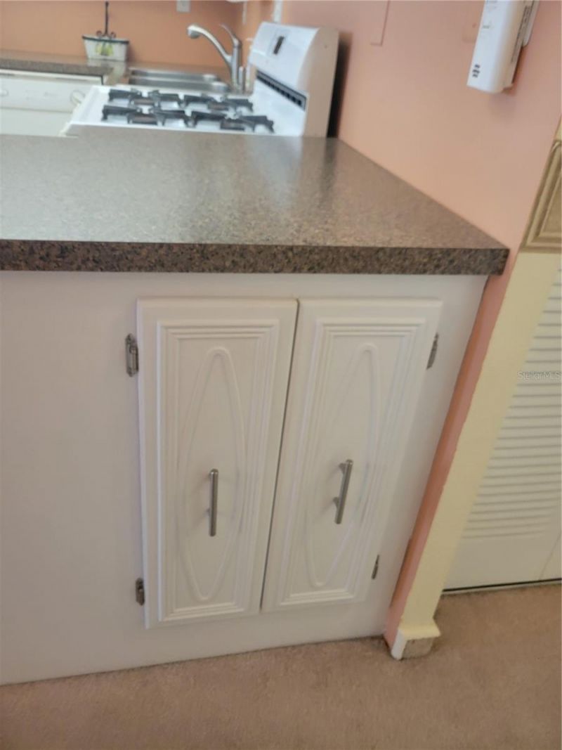 9950 62nd Terrace N, Unit 417, Saint Petersburg, FL 33708 Photo