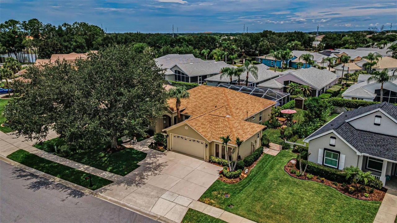 1114 Toski Drive , Trinity, FL 34655 Photo