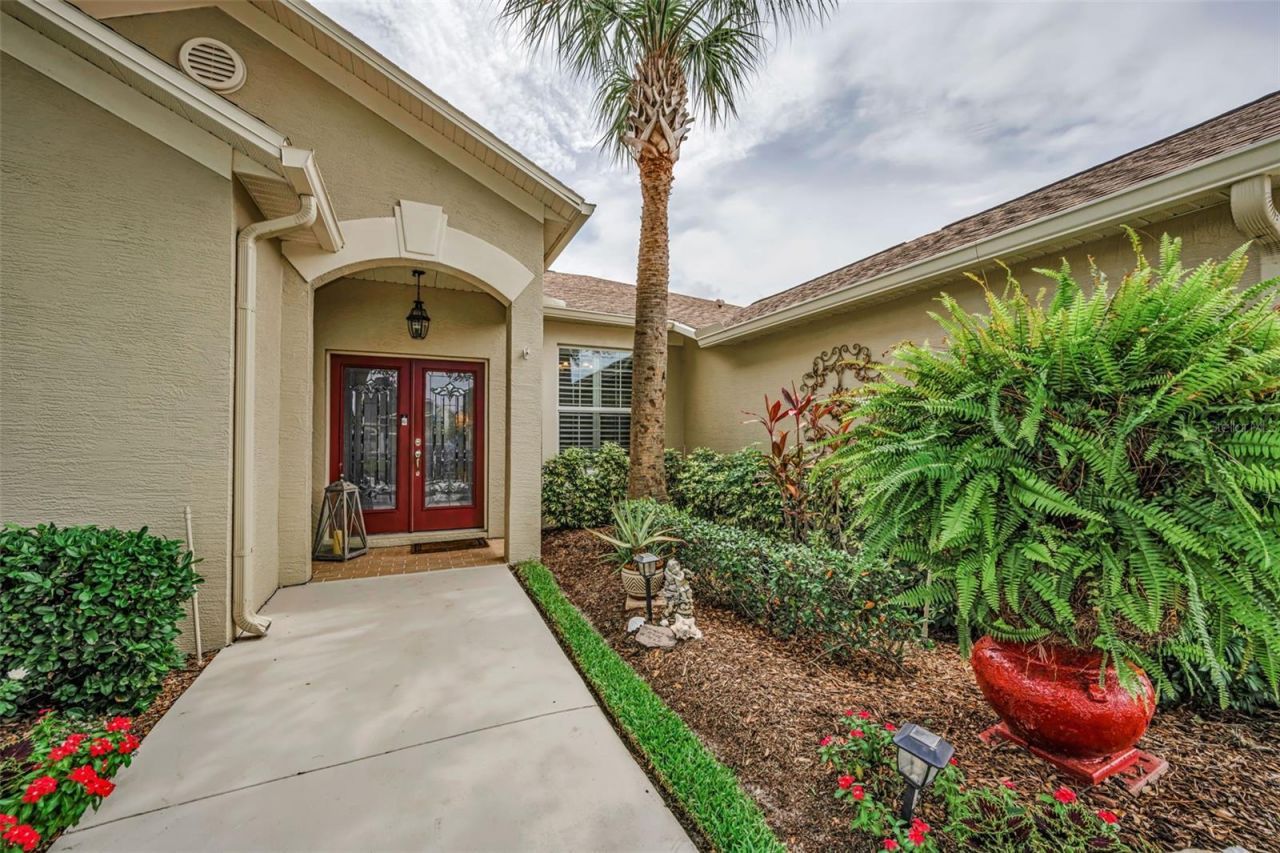 1114 Toski Drive , Trinity, FL 34655 Photo