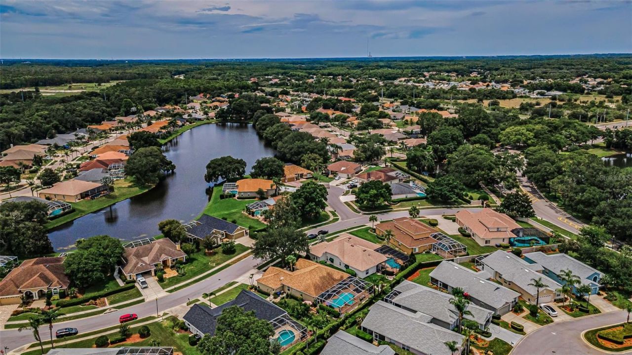 1114 Toski Drive , Trinity, FL 34655 Photo