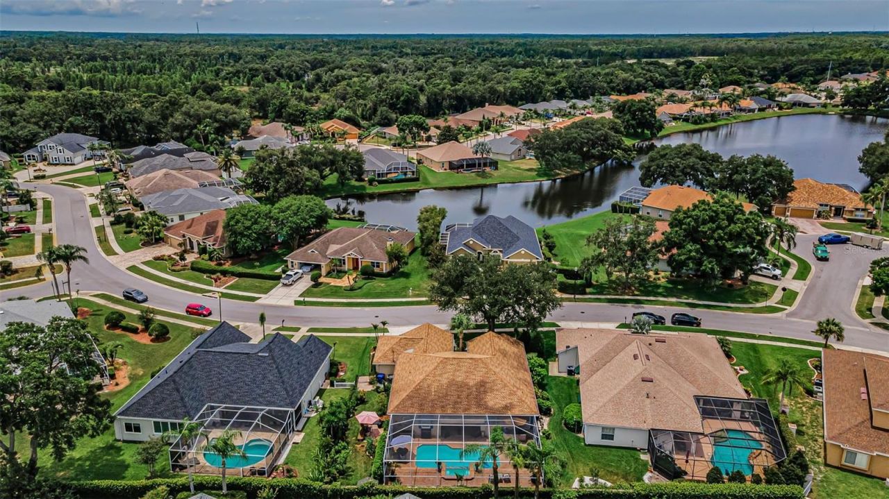 1114 Toski Drive , Trinity, FL 34655 Photo