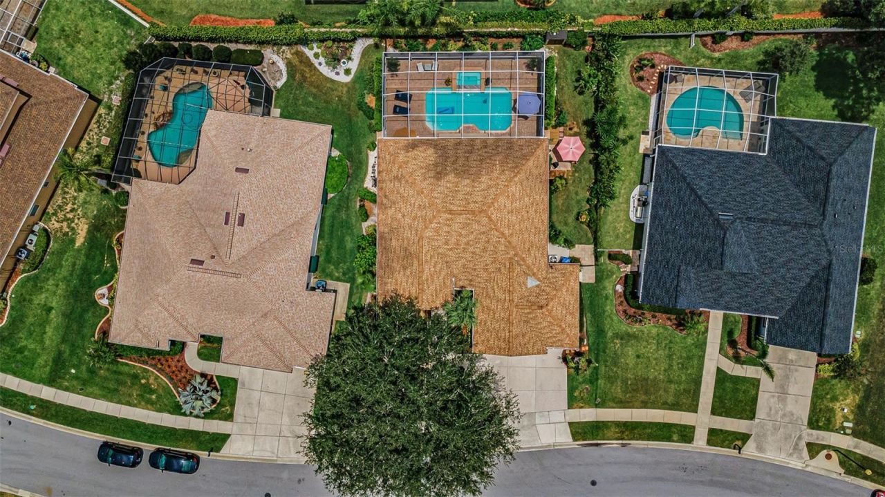 1114 Toski Drive , Trinity, FL 34655 Photo