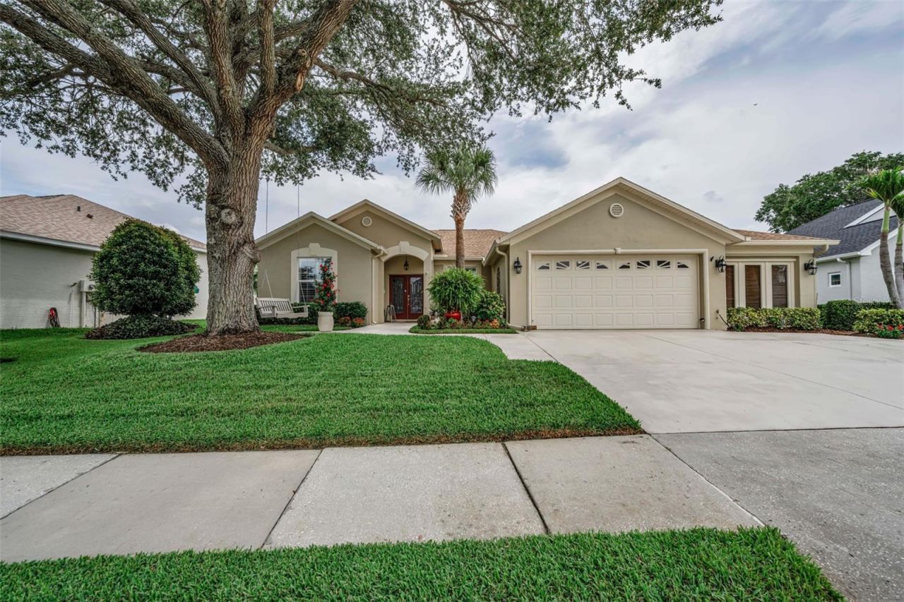 1114 Toski Drive , Trinity, FL 34655 Photo