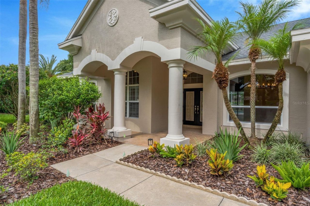 3110 Harvest Moon Drive , Palm Harbor, FL 34683 Photo