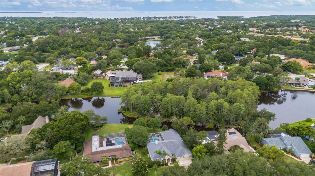 3110 Harvest Moon Drive , Palm Harbor, FL 34683 Photo