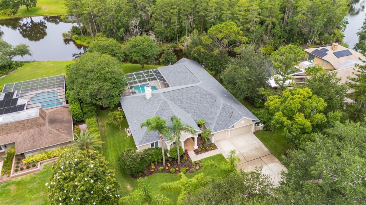 3110 Harvest Moon Drive , Palm Harbor, FL 34683 Photo
