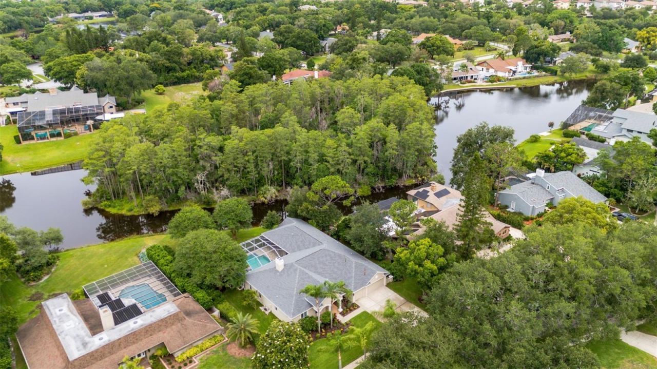 3110 Harvest Moon Drive , Palm Harbor, FL 34683 Photo