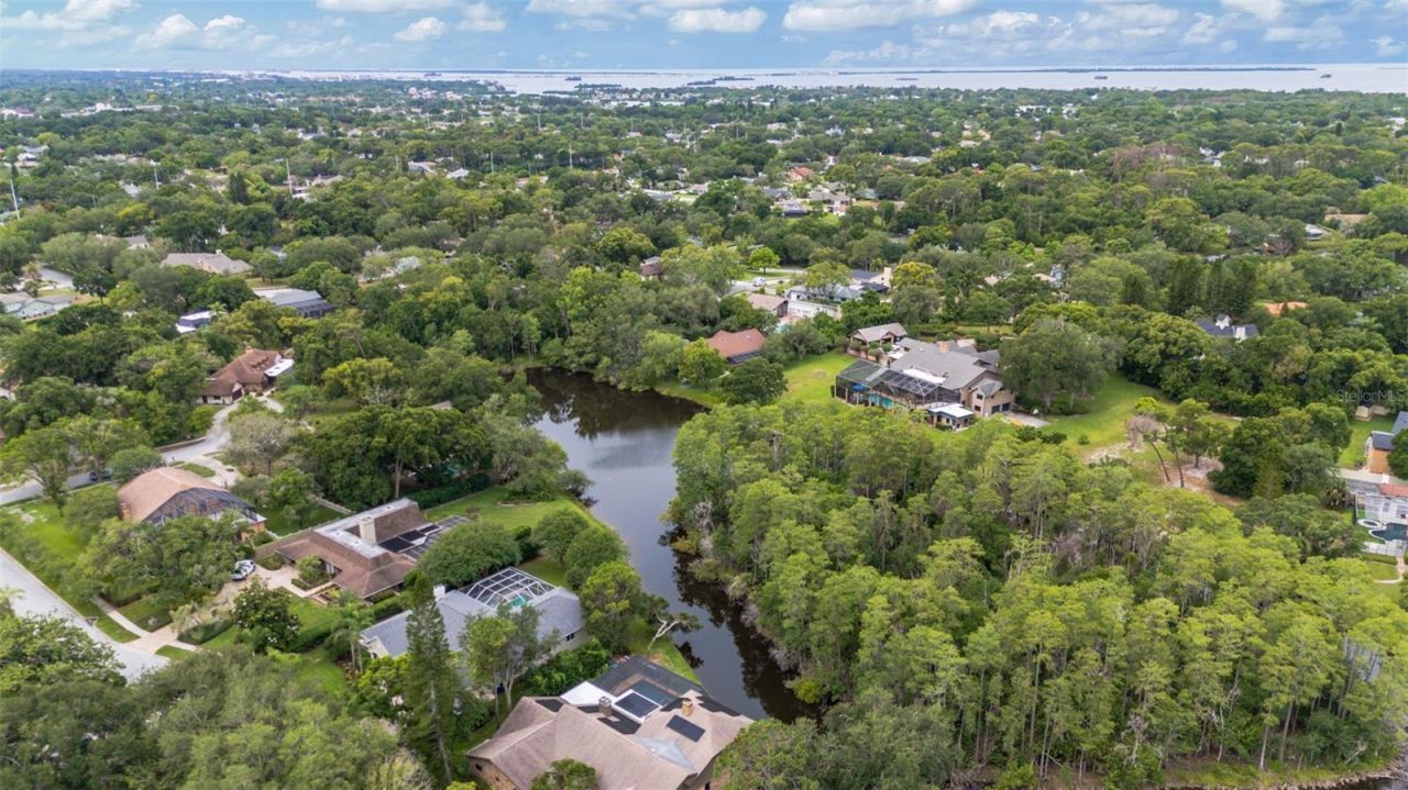 3110 Harvest Moon Drive , Palm Harbor, FL 34683 Photo