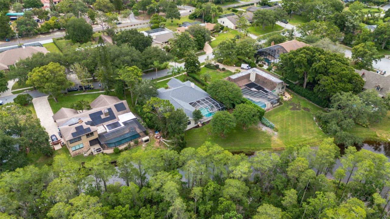 3110 Harvest Moon Drive , Palm Harbor, FL 34683 Photo