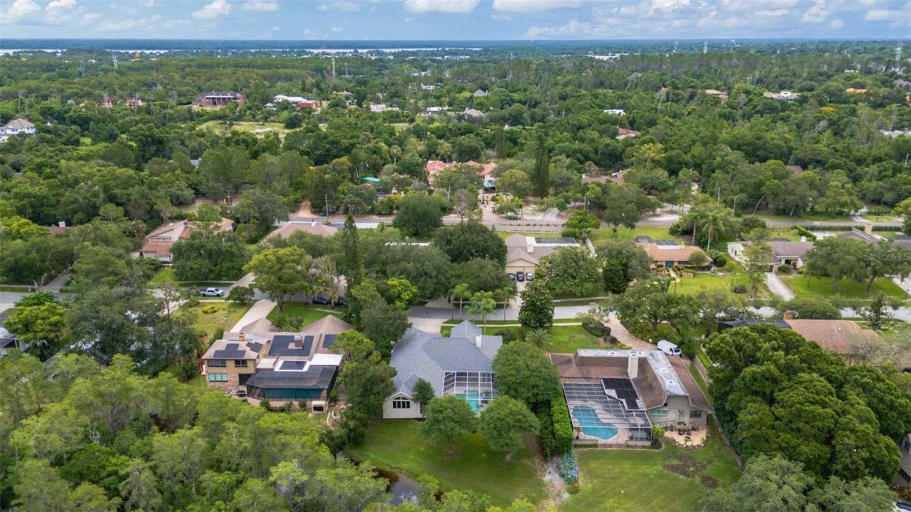 3110 Harvest Moon Drive , Palm Harbor, FL 34683 Photo