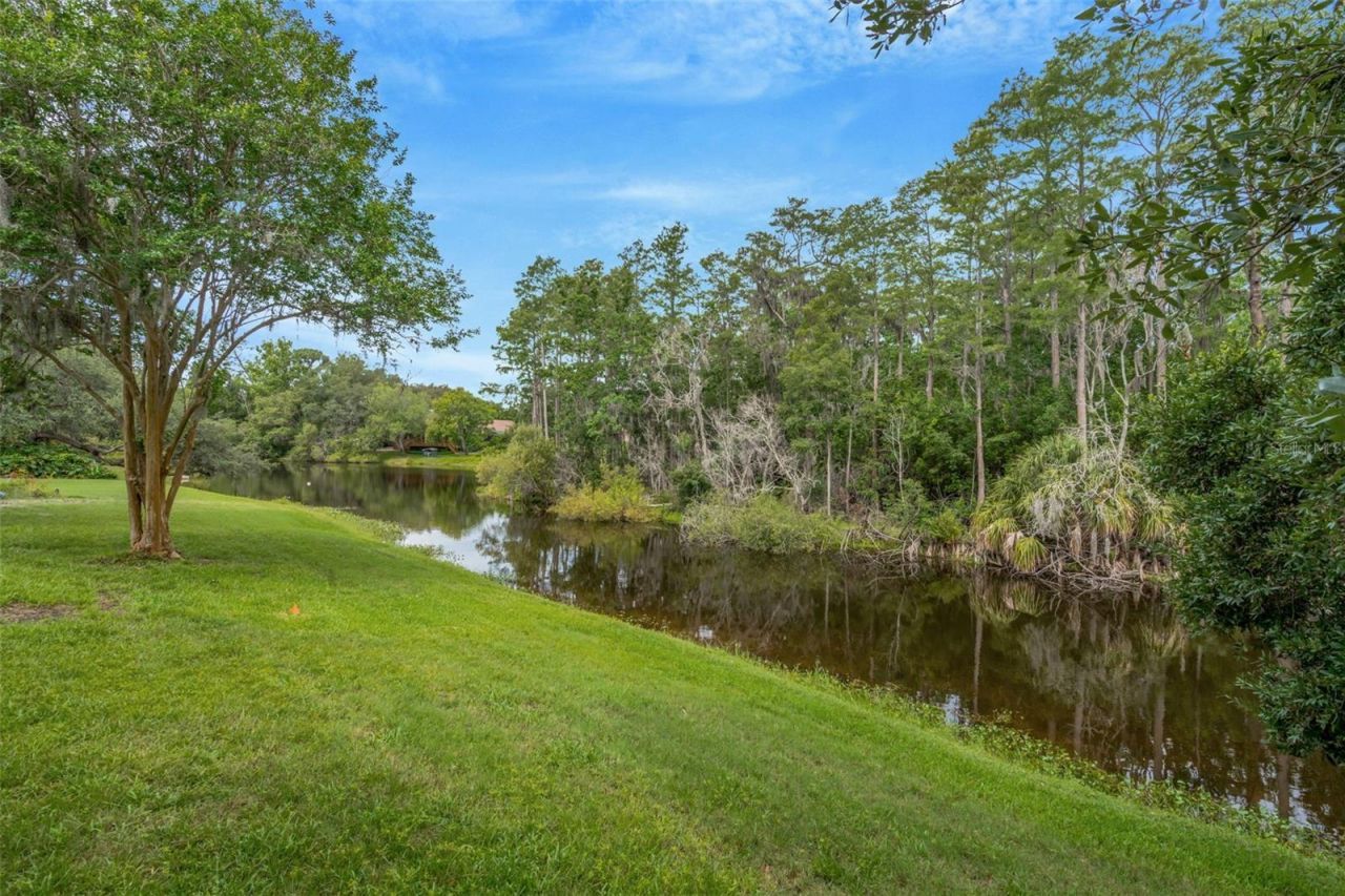 3110 Harvest Moon Drive , Palm Harbor, FL 34683 Photo