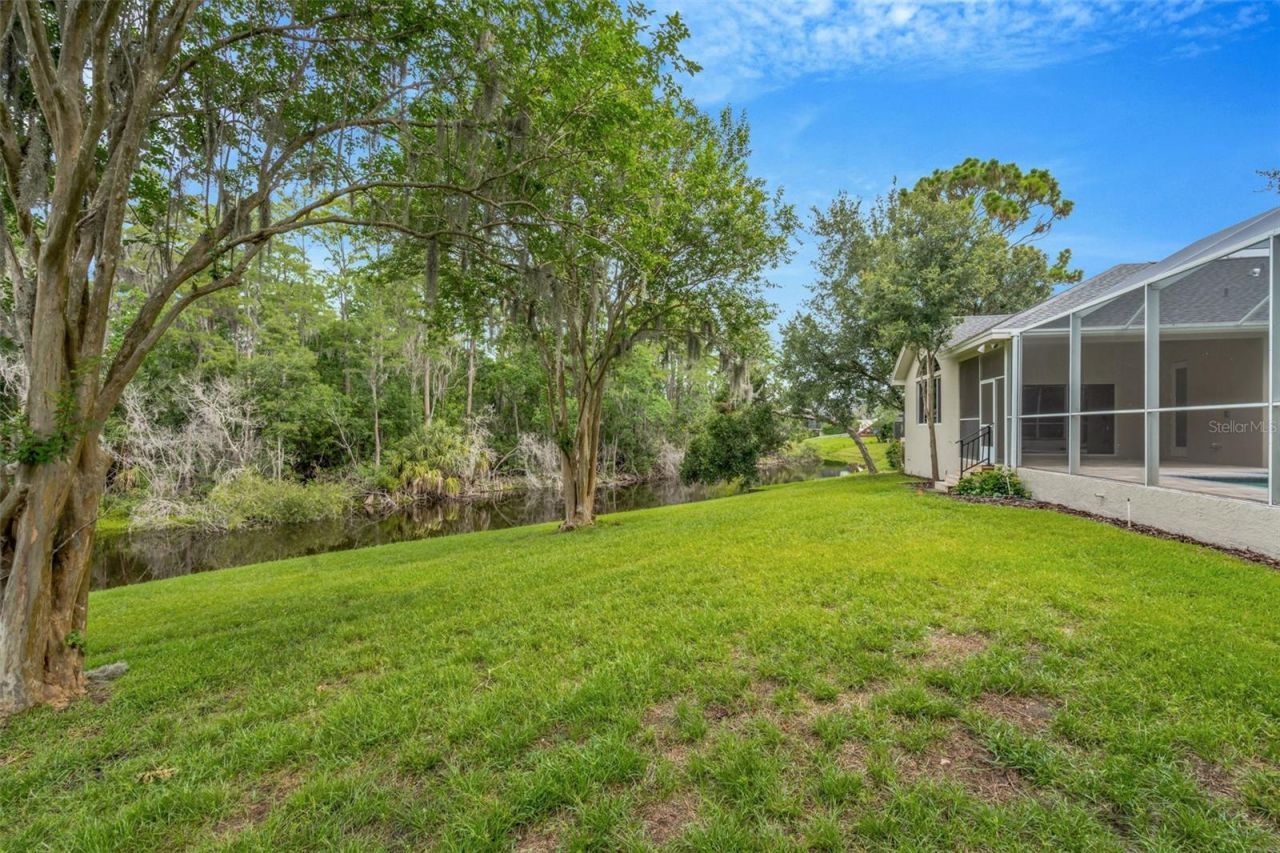 3110 Harvest Moon Drive , Palm Harbor, FL 34683 Photo