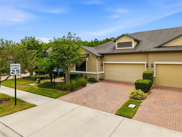 16952 BALANCE COVE , LAND O LAKES, FL 34638