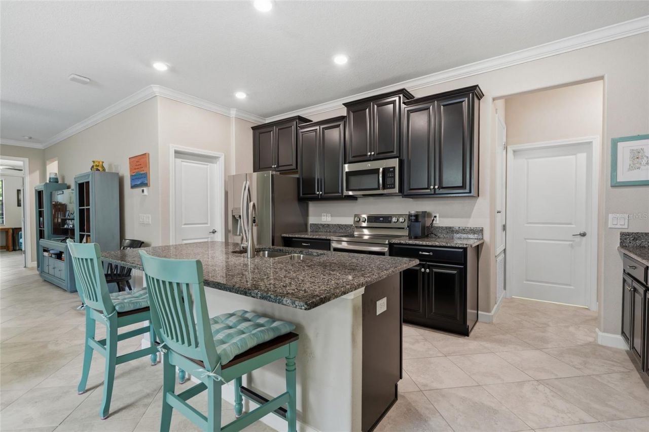 16952 Balance Cove , Land O Lakes, FL 34638 Photo