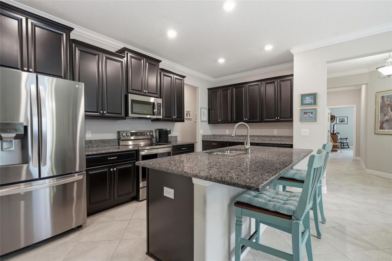 16952 Balance Cove , Land O Lakes, FL 34638 Photo