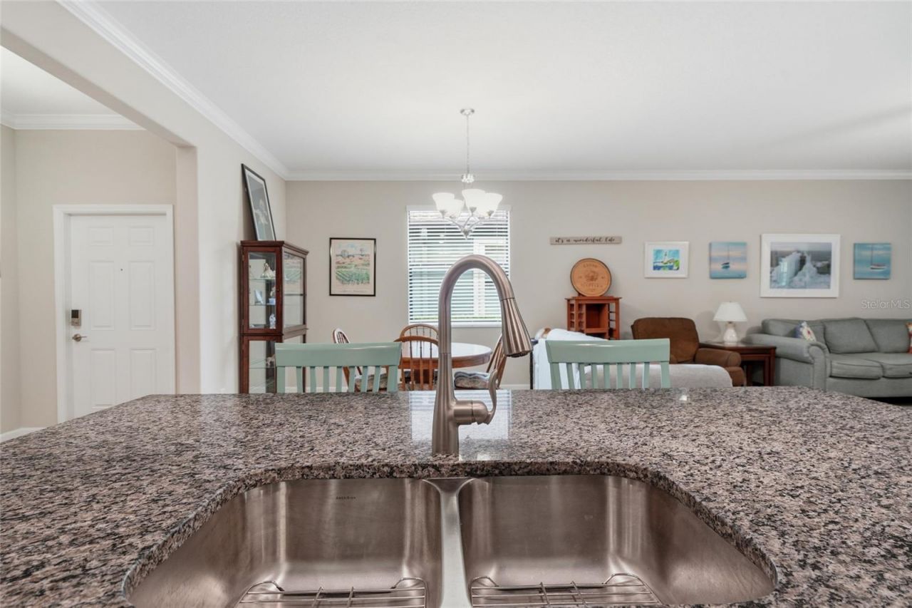 16952 Balance Cove , Land O Lakes, FL 34638 Photo
