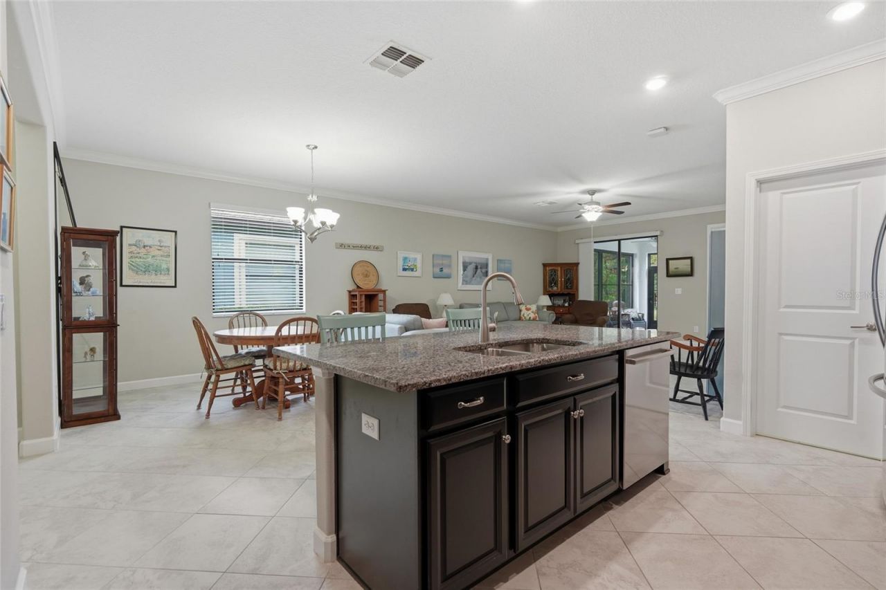 16952 Balance Cove , Land O Lakes, FL 34638 Photo