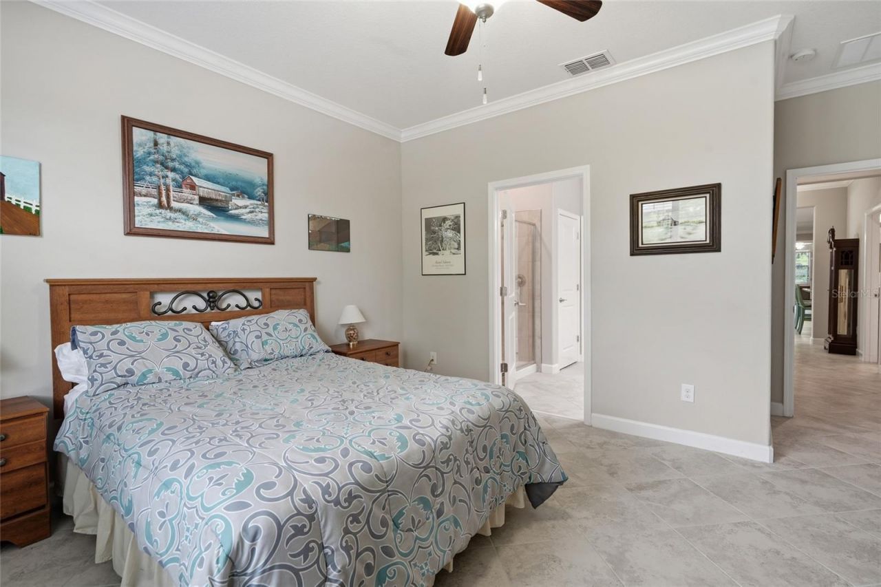 16952 Balance Cove , Land O Lakes, FL 34638 Photo