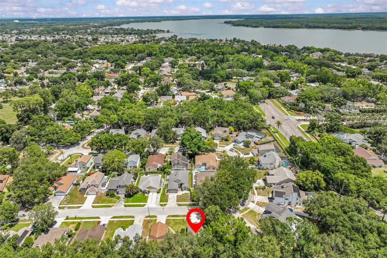 3224 Montrose Circle , Palm Harbor, FL 34684 Photo