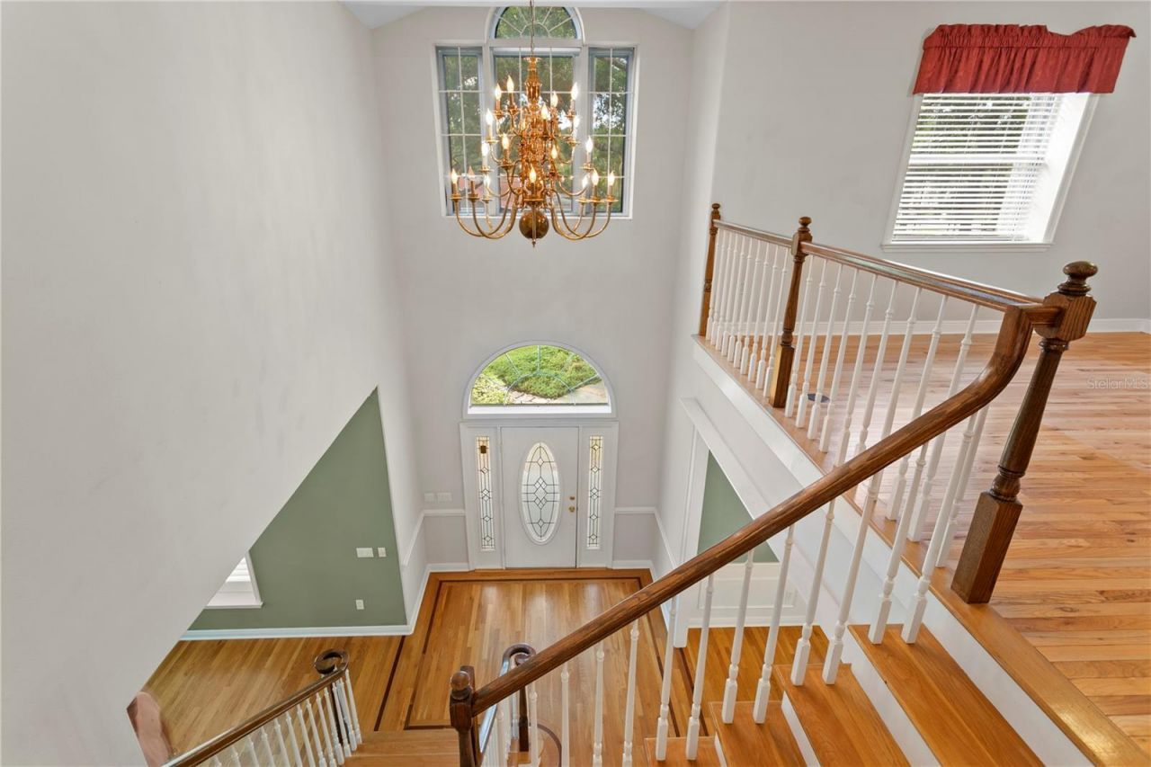 4803 Tannery Avenue, Tampa, FL 33624 Photo