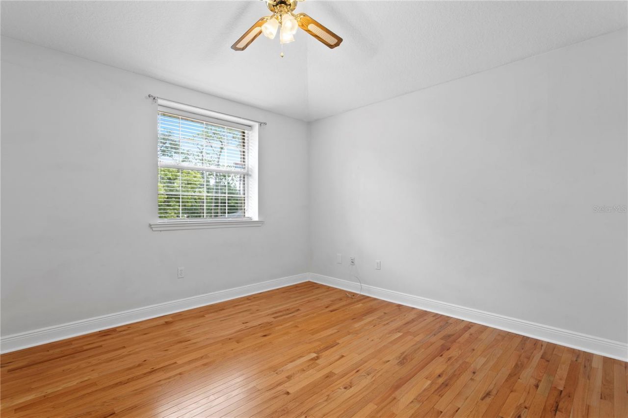 4803 Tannery Avenue, Tampa, FL 33624 Photo