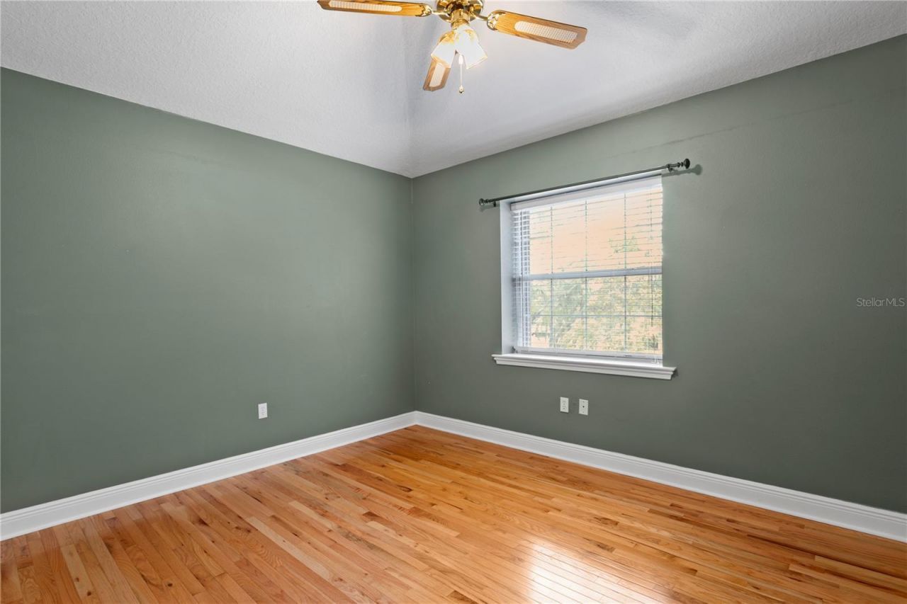 4803 Tannery Avenue, Tampa, FL 33624 Photo