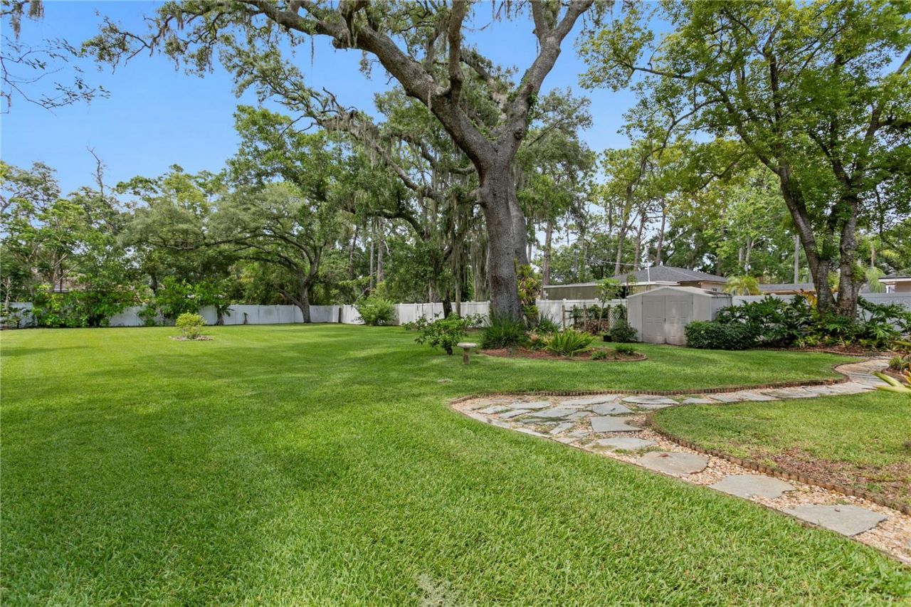 4803 Tannery Avenue, Tampa, FL 33624 Photo