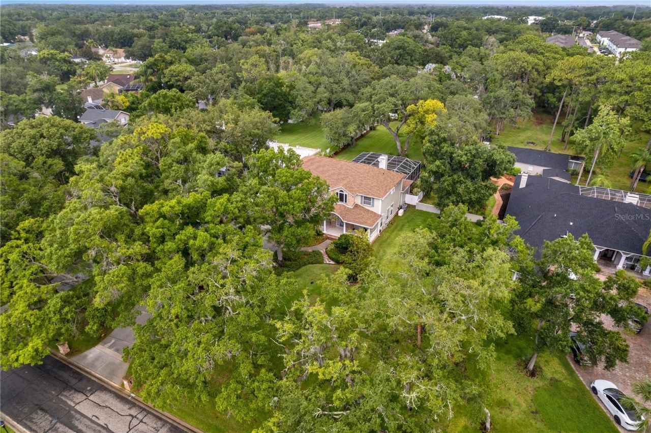 4803 Tannery Avenue, Tampa, FL 33624 Photo
