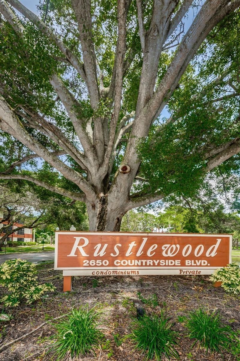 2650 Countryside Boulevard , Unit F110, Clearwater, FL 33761 Photo
