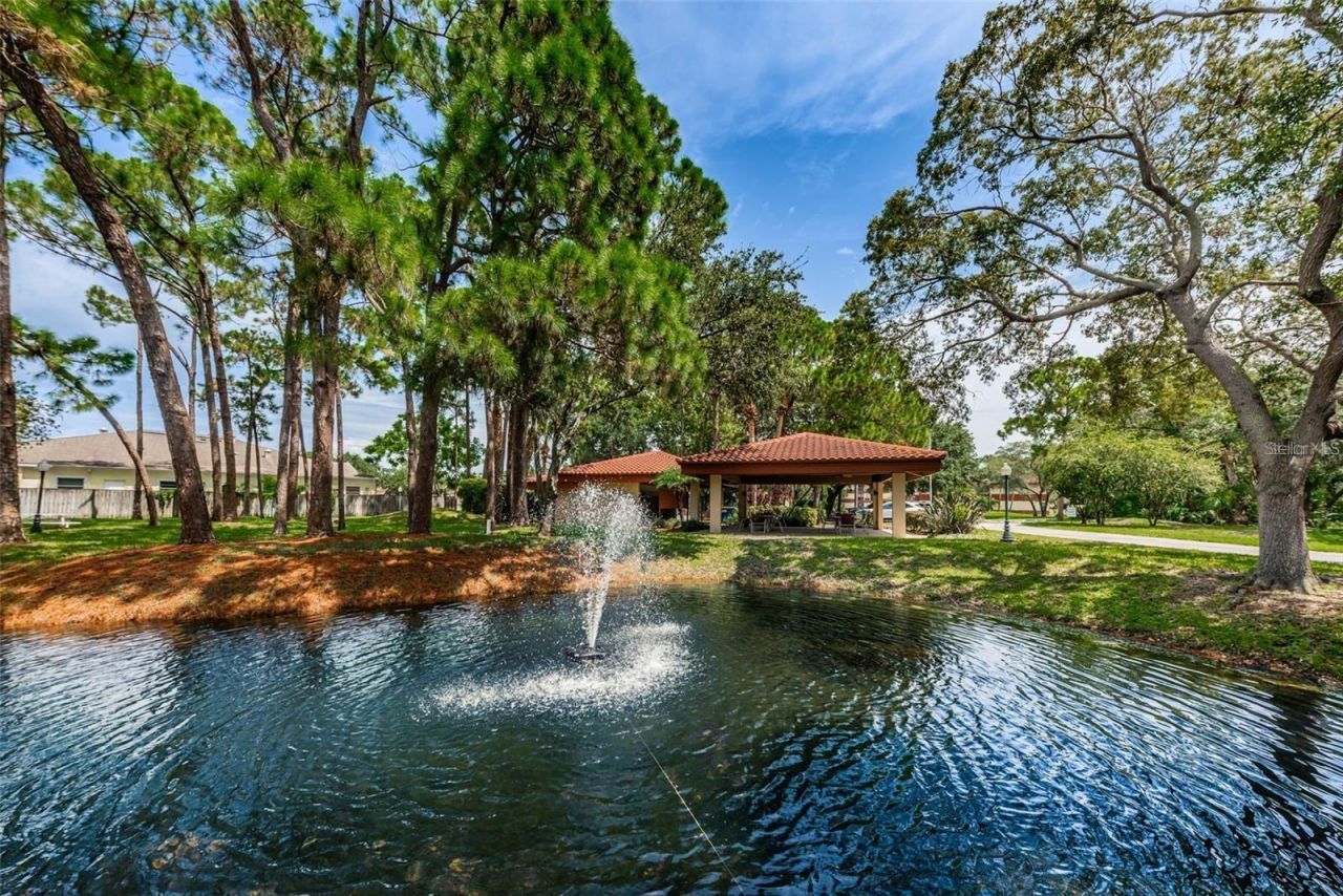 2650 Countryside Boulevard , Unit F110, Clearwater, FL 33761 Photo
