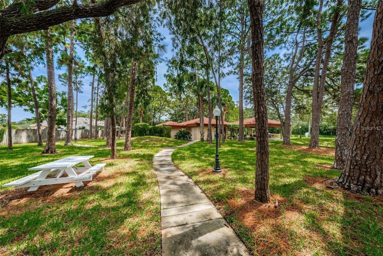 2650 Countryside Boulevard , Unit F110, Clearwater, FL 33761 Photo