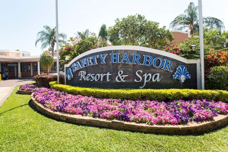 2941a Shore Drive , Safety Harbor, FL 34695 Photo