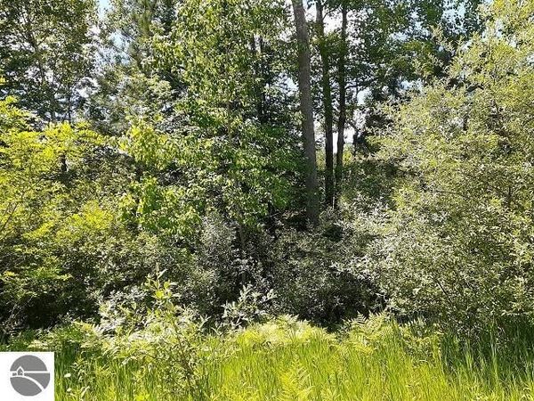 East Side Drive, Lupton, MI 48635