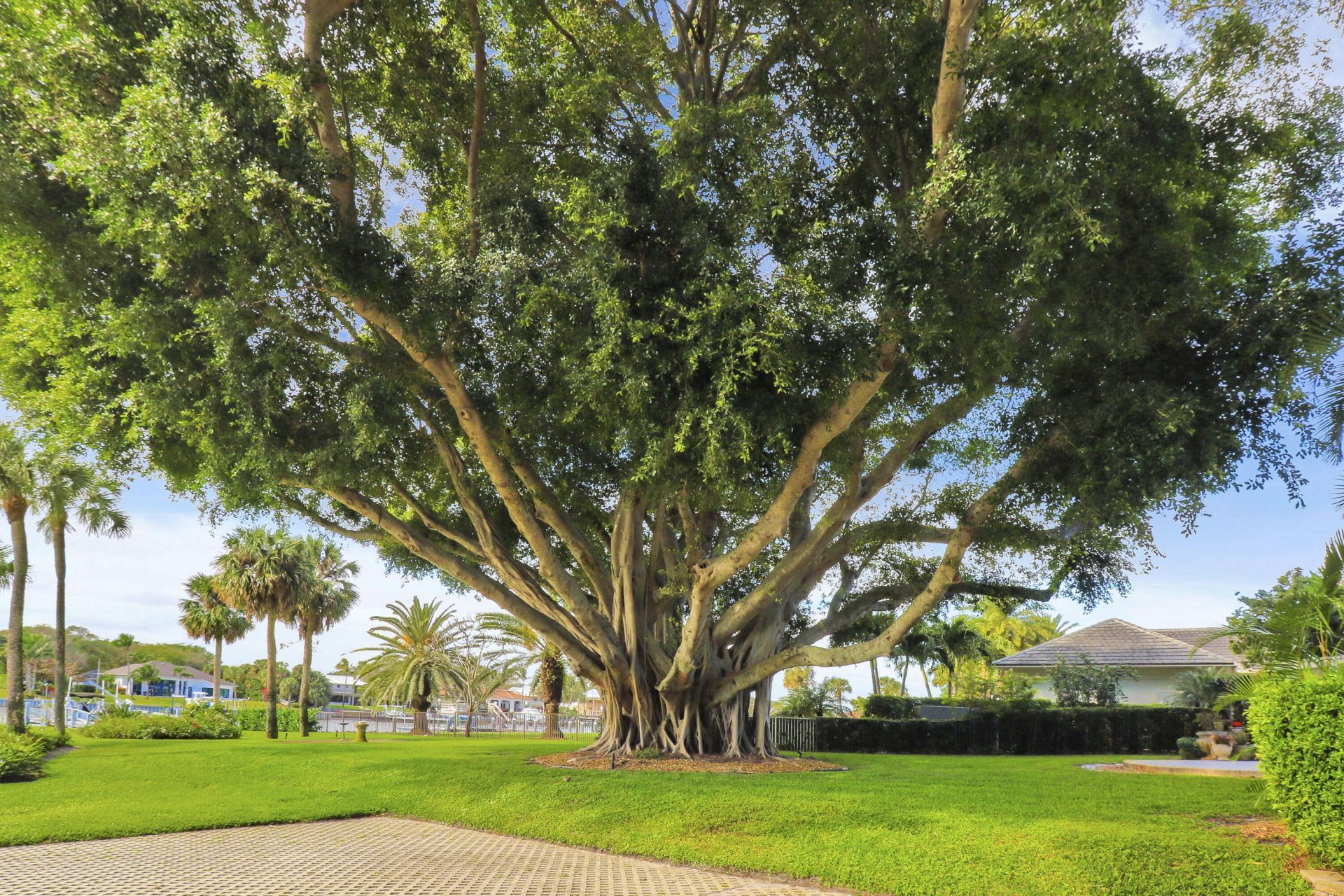 515 Bay Colony Drive N, Juno Beach, FL 33408 Photo