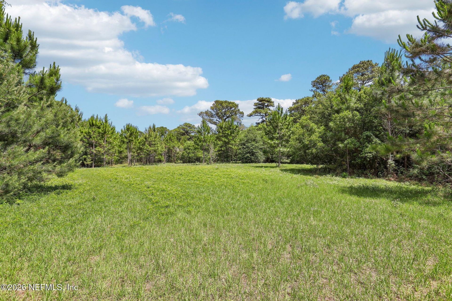 H15976 Red Bass Drive, Jacksonville, FL 32226 Photo