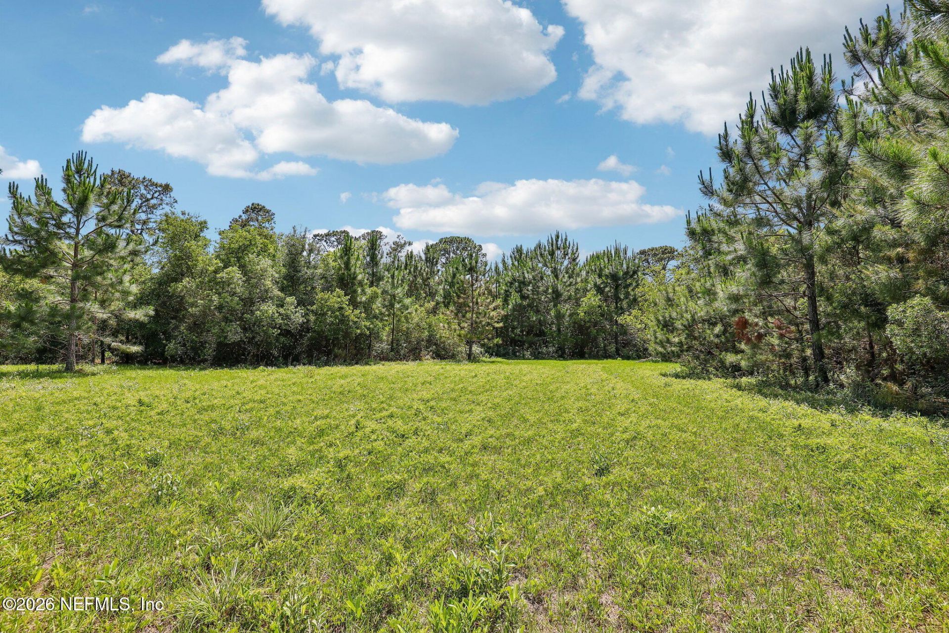 H15976 Red Bass Drive, Jacksonville, FL 32226 Photo