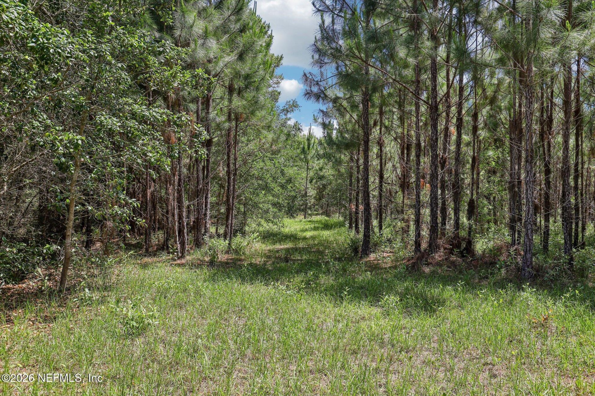 H15976 Red Bass Drive, Jacksonville, FL 32226 Photo