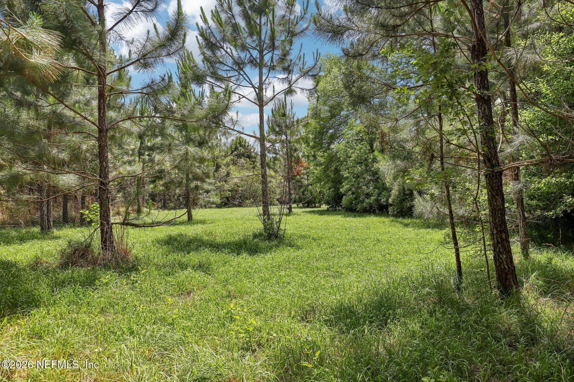 H15976 Red Bass Drive, Jacksonville, FL 32226 Photo
