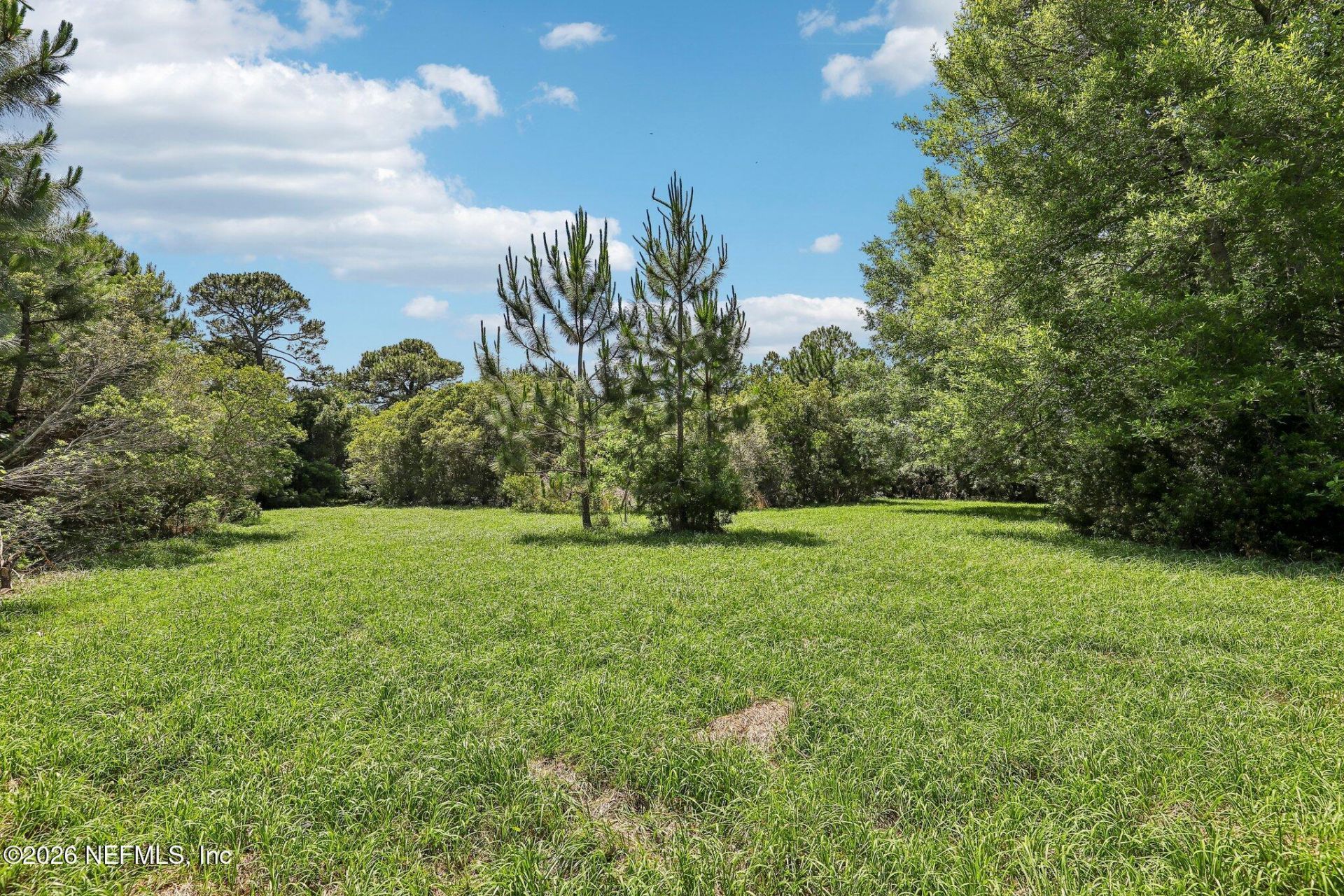 H15976 Red Bass Drive, Jacksonville, FL 32226 Photo