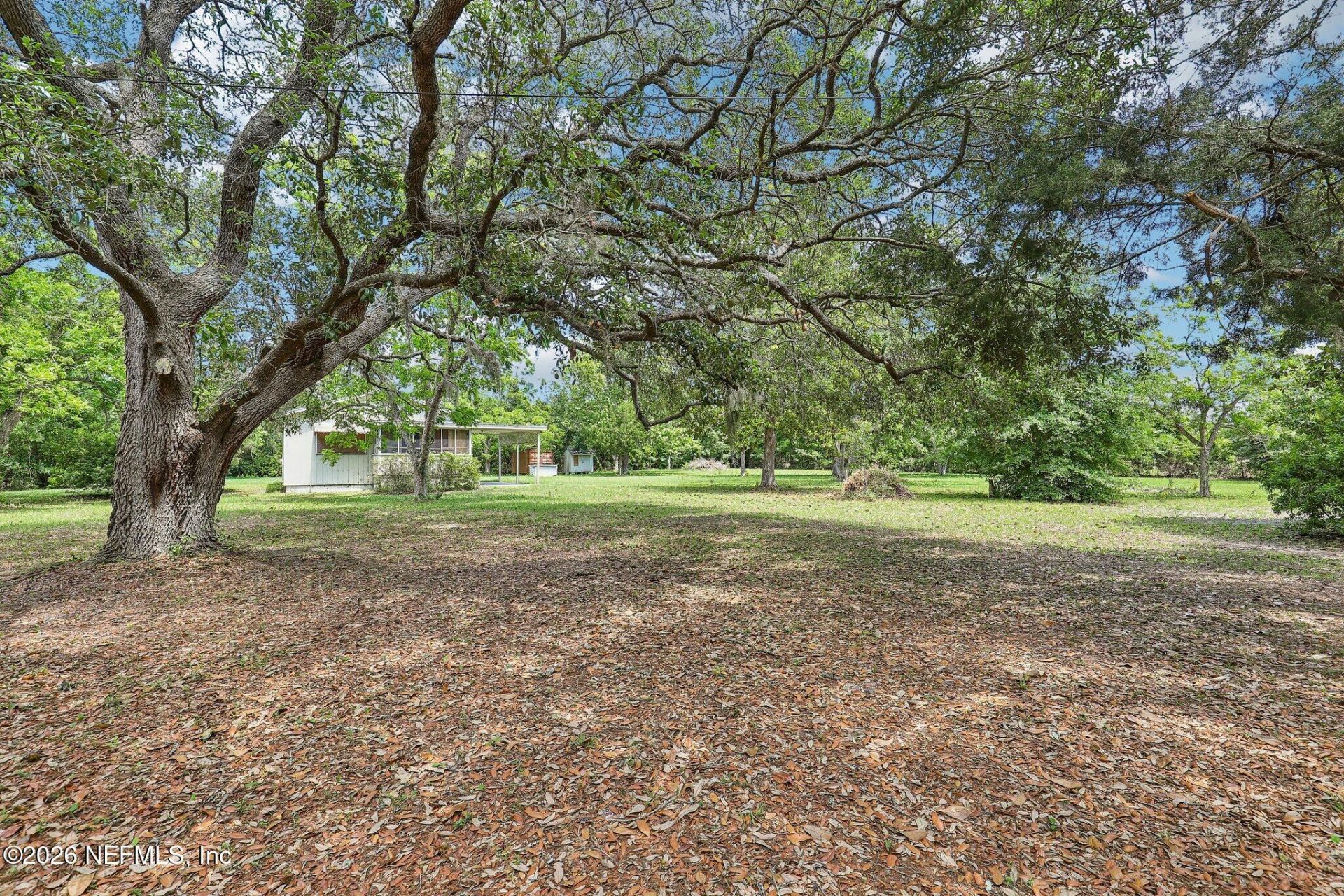 H15976 Red Bass Drive, Jacksonville, FL 32226 Photo