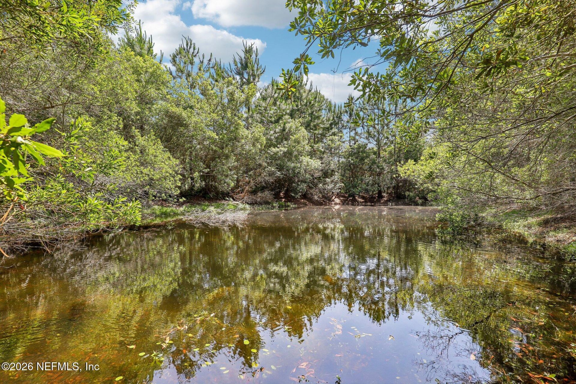 H15976 Red Bass Drive, Jacksonville, FL 32226 Photo