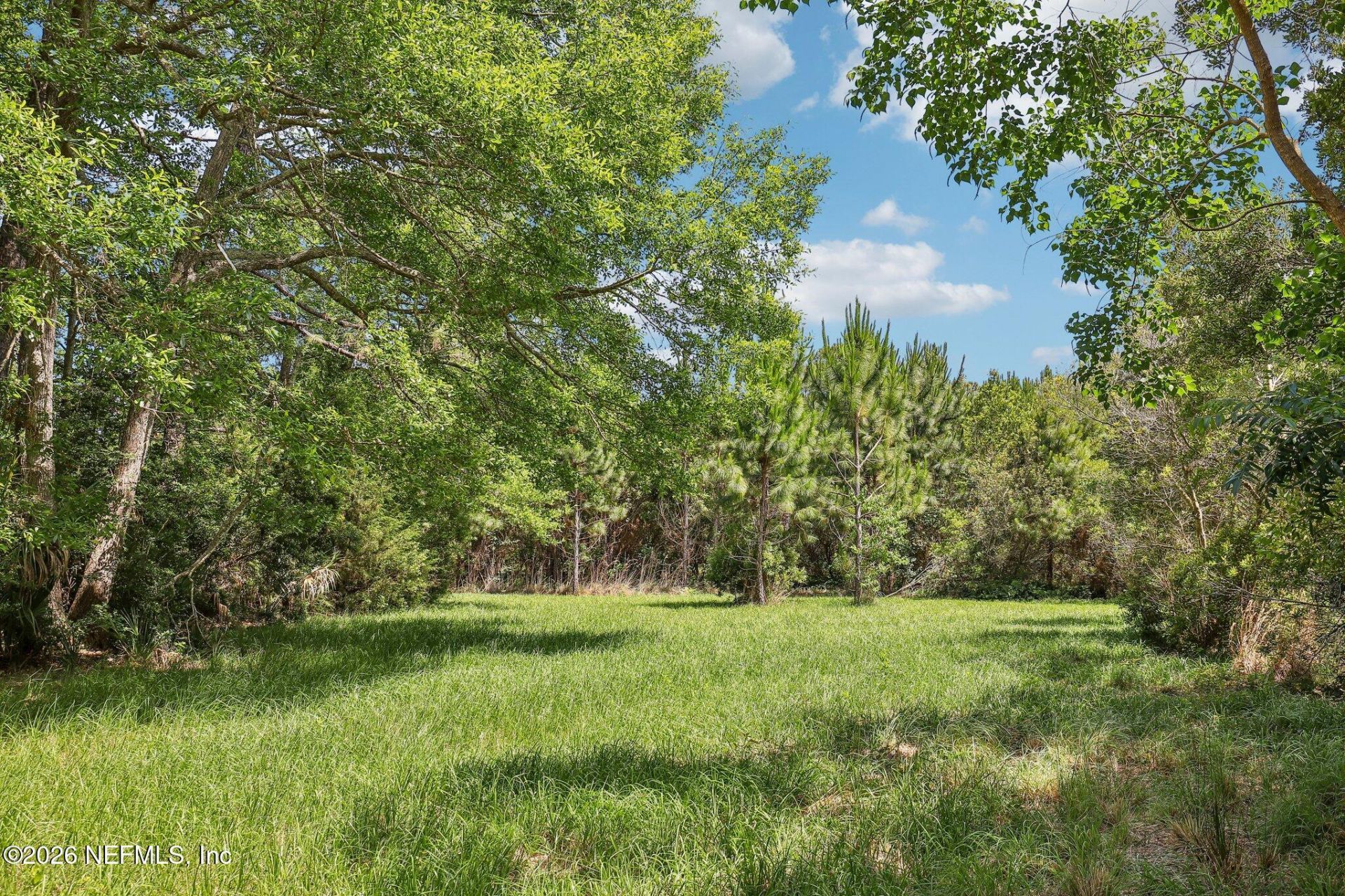 H15976 Red Bass Drive, Jacksonville, FL 32226 Photo