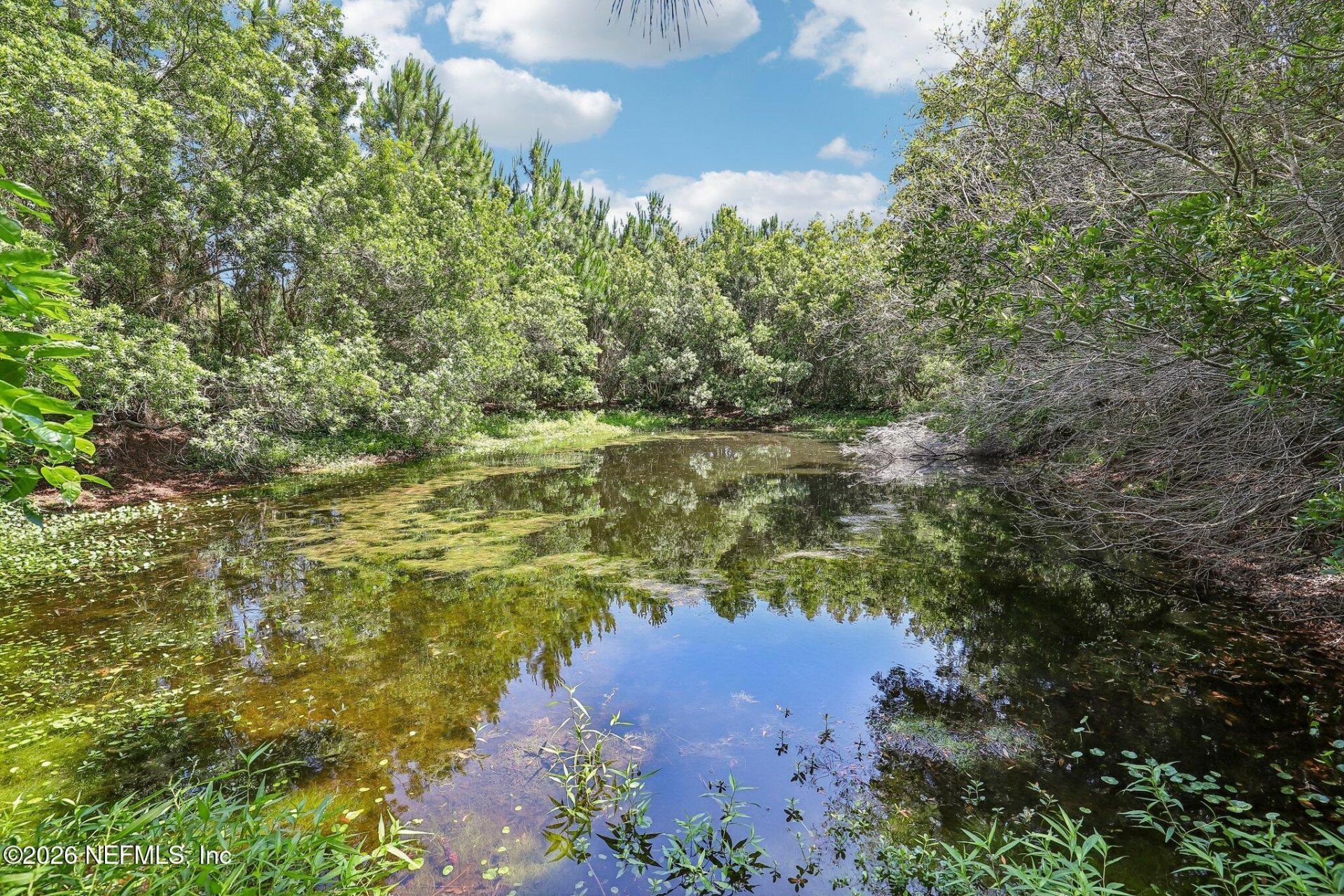 H15976 Red Bass Drive, Jacksonville, FL 32226 Photo