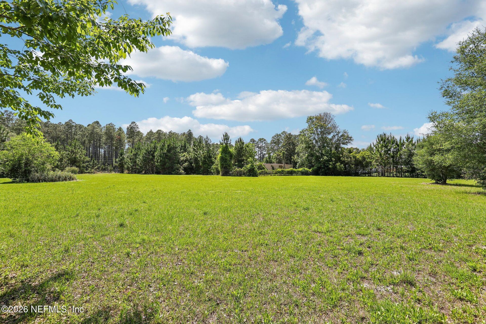 H15976 Red Bass Drive, Jacksonville, FL 32226 Photo