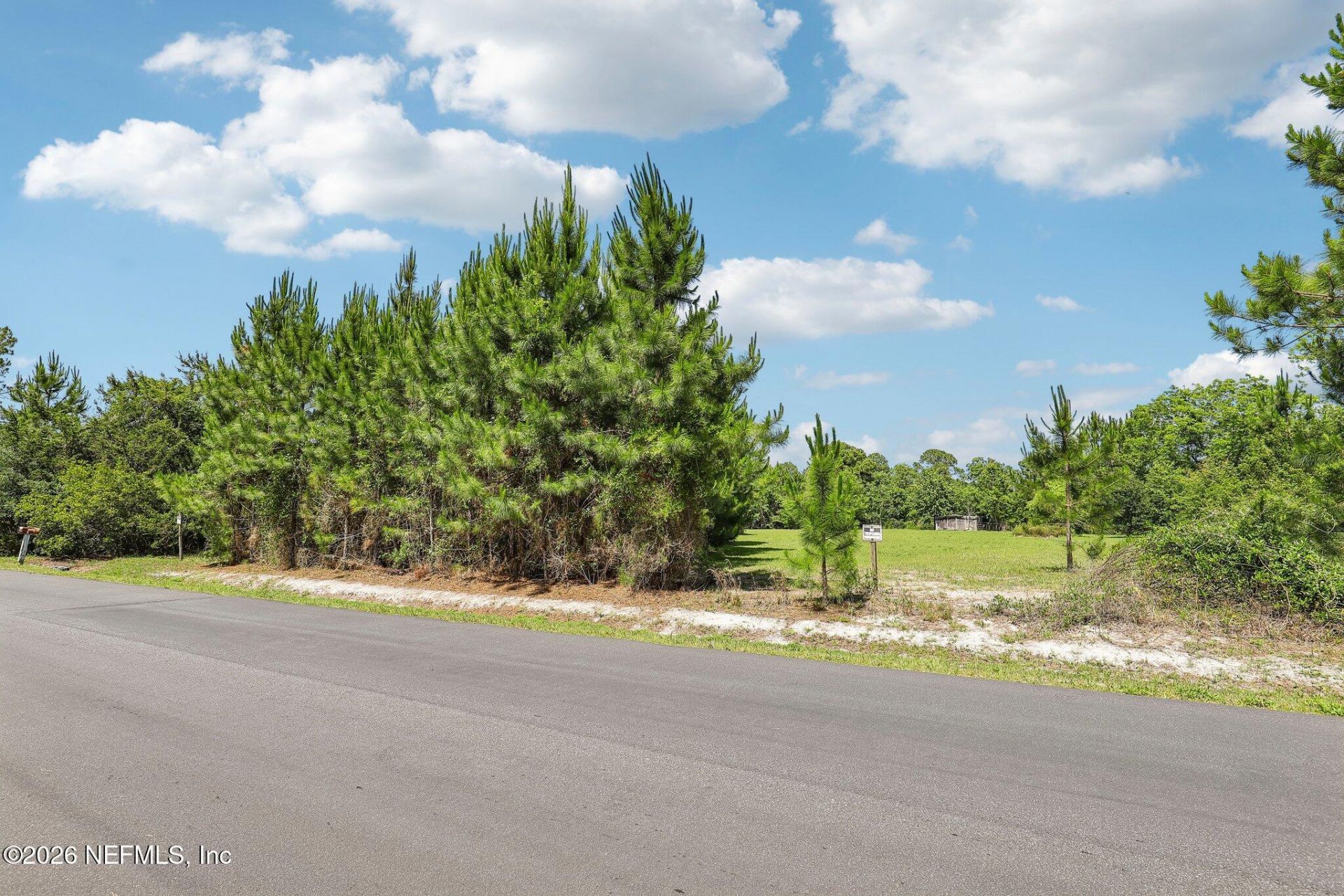 H15976 Red Bass Drive, Jacksonville, FL 32226 Photo