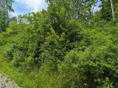 Lake Lorraine Lane, Norwich, NY 13815