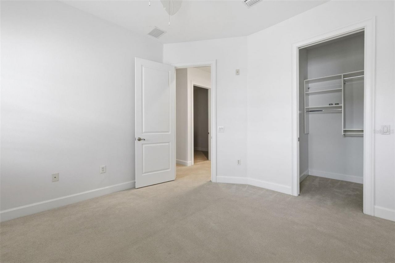 11516 Bellamar Street, Tampa, FL 33637 Photo