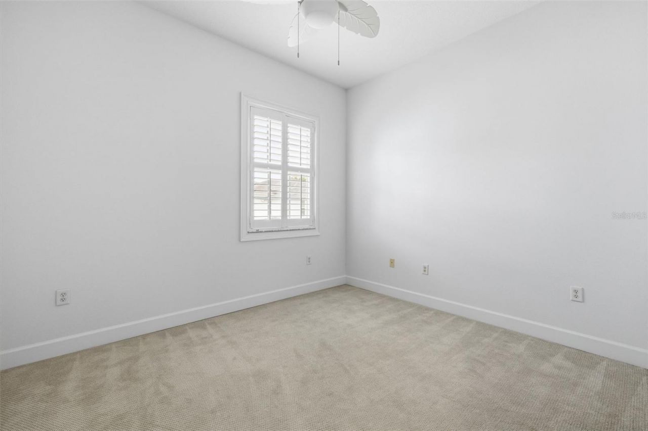 11516 Bellamar Street, Tampa, FL 33637 Photo